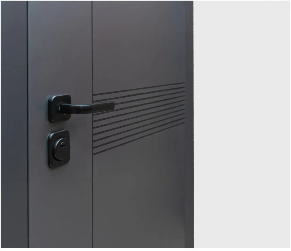 Товар Дверь Цербер Lang-yue Только 96 DIS007135